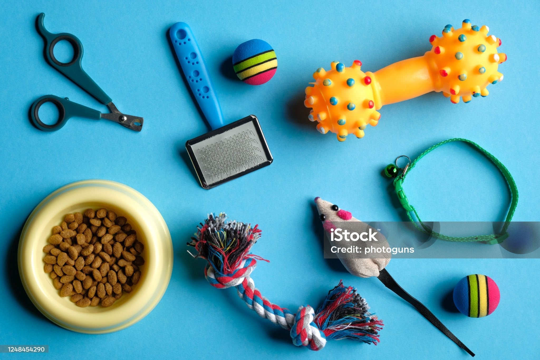 Puppy Training Techniques for a Well-Behaved Best Friend