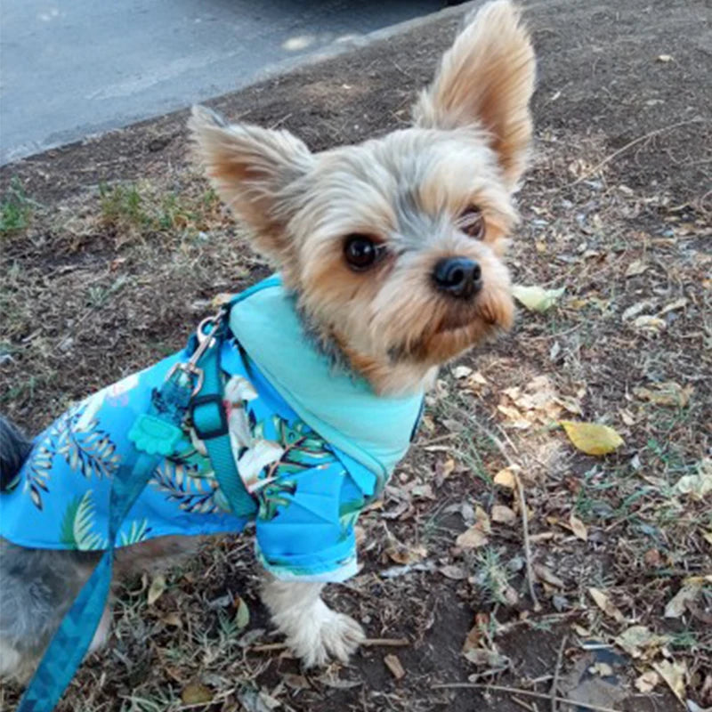 Summer Hawaiian Shirts For Dog/Cat