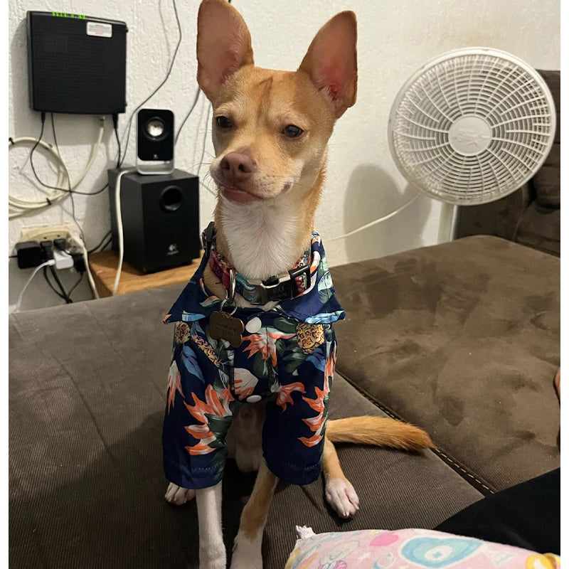 Summer Hawaiian Shirts For Dog/Cat