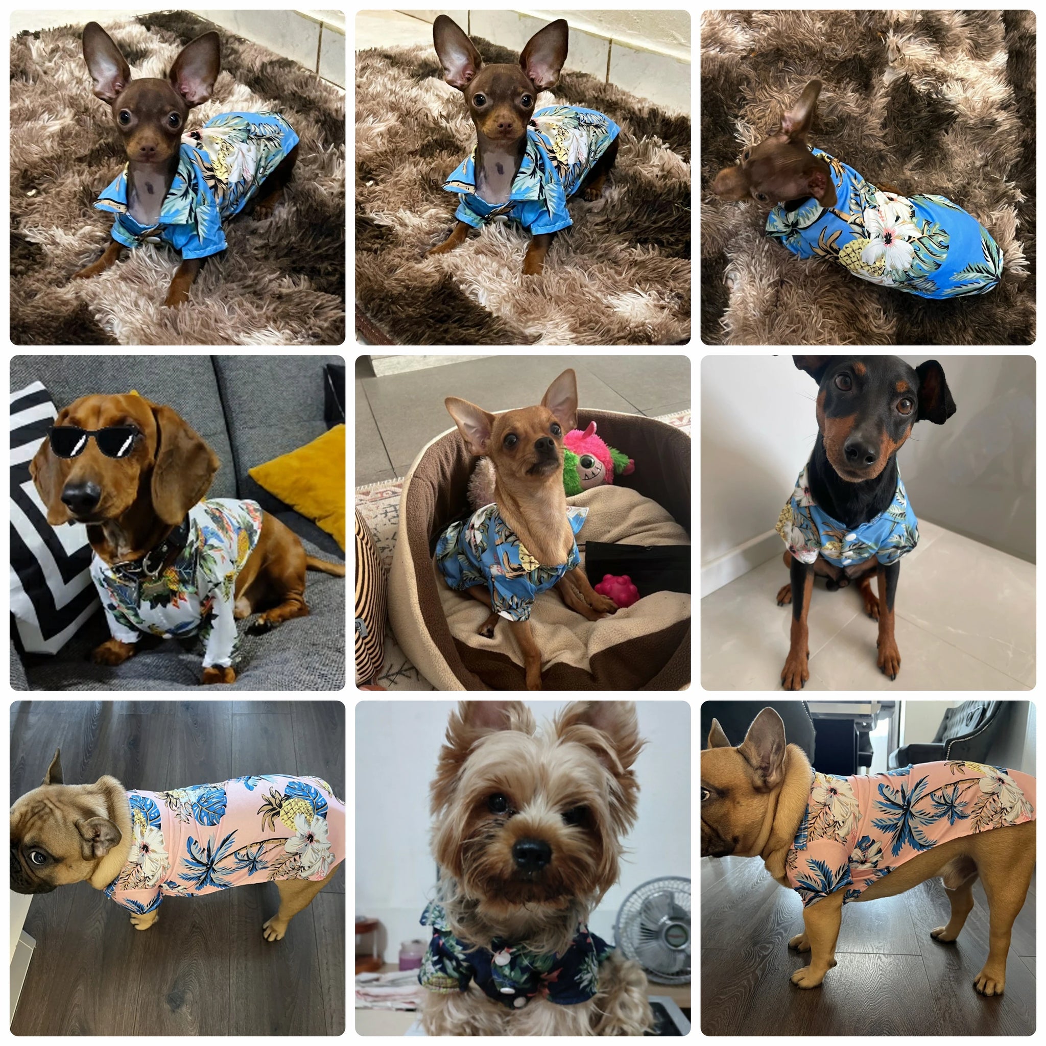 Summer Hawaiian Shirts For Dog/Cat
